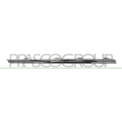 Bild av PRASCO VG0541274 Baguette et bande protectrice, pare chocs arrière gauche Premium VOLKSWAGEN: Passat B6 Variant