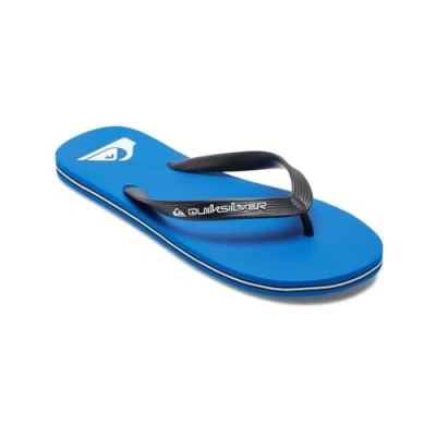 Bild av Quiksilver Molokai CORE Tongs Tåsandaler, Storlek: 47, Blue 1 Konstmaterial