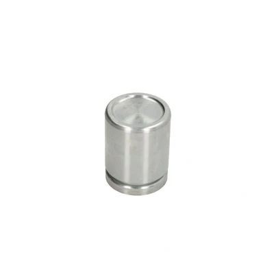 Bild av Kolv, bromsok AUTOFREN SEINSA D025646