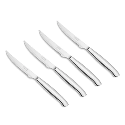 Bild av Jeu de couteaux Loins Arcos la Table 378400 monobloc d&#039;une pièce d&#039;acier inoxydable, lame 11 cm dans le cas 4 pièces.