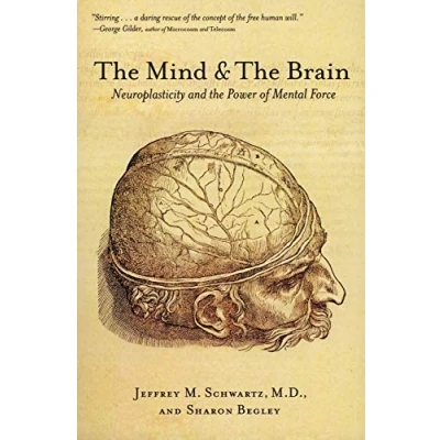 Bild av the Mind and Brain: Neuroplasticity Power of Mental Force