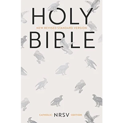 Bild av Catholic Bible: NRSV Anglicized Edition: Edition with Apocrypha