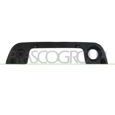 Bild av PRASCO BM0148701 Cadre de poignée porte extérieur, avant droite BMW: 3 Compact, Berline