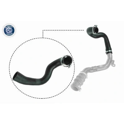 Bild av VAICO V25 1053 Gaine De Suralimentation Caouchouc textilé Q+, Première Monte FORD: Transit Connect Mk1 Van, Tourneo