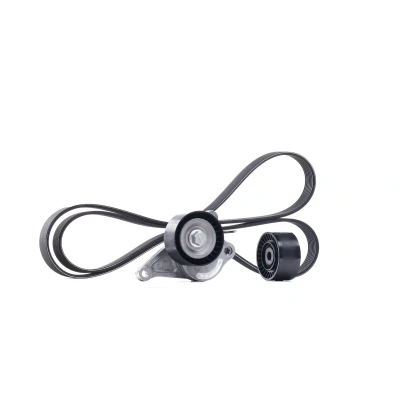 Bild av SKF VKMA 36084 Jeu de courroies trapézoïdales à nervures RENAULT: LAGUNA 3, MEGANE 2, 3 Coupe, NISSAN: X Trail, Qashqai / Qashqai+2 I