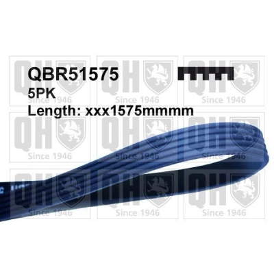 Bild av QUINTON HAZELL QBR51575 Courroie Poly V 1575 5 LANCIA: Y