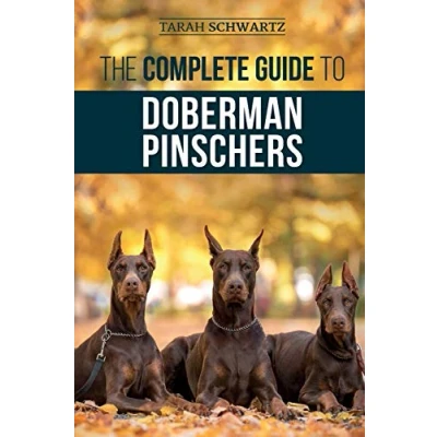 Bild av The Complete Guide to Doberman Pinschers: Preparing for, Raising, Training, Feeding, Socializing, and Loving Your New Puppy