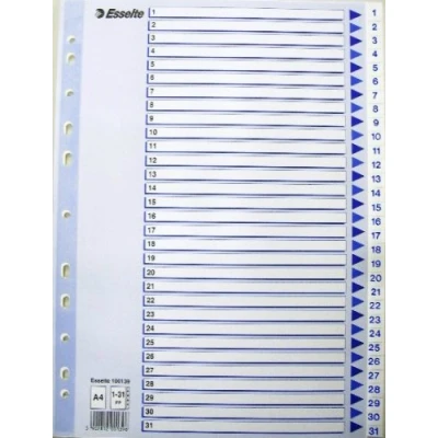 Bild av Esselte Register, A4, 131, 11 Hål, Polypropen, Vit/Blå, 100139