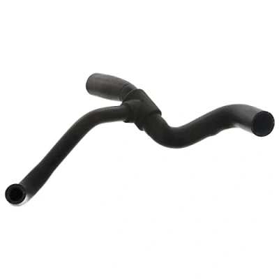 Bild av FEBI BILSTEIN 47755 Durite De Refroidissement à droite, inférieur FORD: Focus Mk1 3/5 portes, Berline, Break