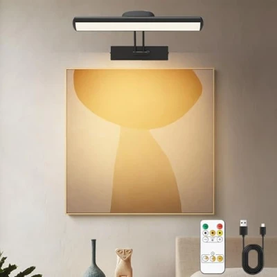Bild av DESGNT Fjärrkontroll vägglampa, trådlös LED tavla, roterande belysningshuvud med timer, 180 svängbar armbildlampa för väggmålning och dart.