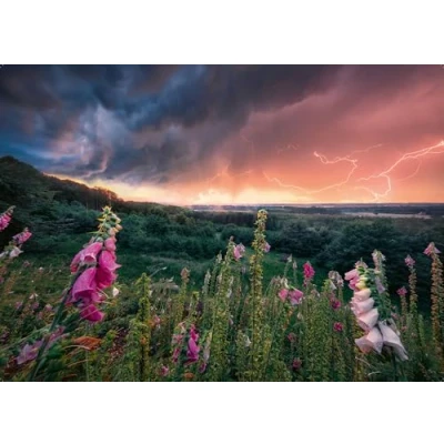 Bild av Ravensburger Dreamy Thunder 1000p