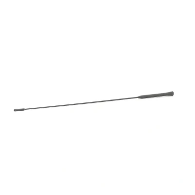 Bild av AIC 53911 Antennes FORD: KA 3 portes, FIESTA 5, MONDEO 4