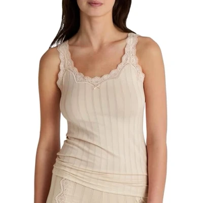 Bild av Calida väska Toujours linne dam, med schweizisk bomull sigill, elegant nålrandig utseende och delikat spets på urringningen, Mörk beige, 36/38 SE