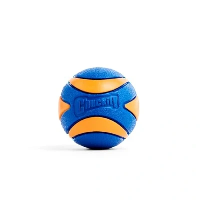 Bild av CHUCKIT Ultra Squeaker ball M