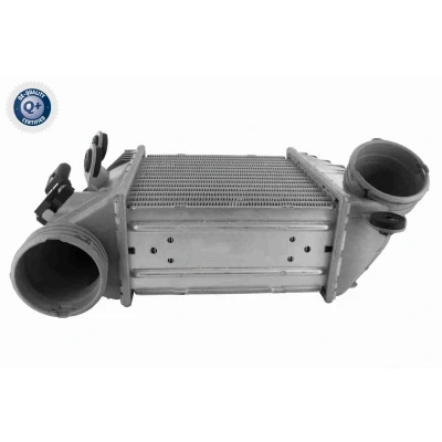 Bild av VEMO V15 60 6033 Intercooler Q+, Première Monte VOLKSWAGEN: Golf 4, 4 Variant, Bora Berline, SEAT: Leon I 3/5 portes, Toledo 2 Limousine