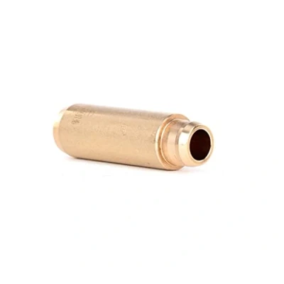 Bild av AE VAG96073B Guide de soupape 6,02 Bronze VOLKSWAGEN: Golf 5, Tiguan I, Transporter 5 Bus, AUDI: A3 Sportback, 3/5 portes, A4 B6 Avant oscaro,