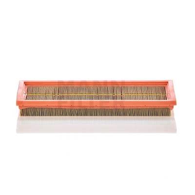 Bild av Luftfilter MANN FILTER C 3273