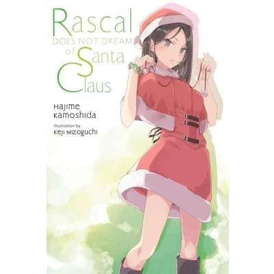 Bild av Rascal Does Not Dream of Santa Claus (Light Novel): Volume 13