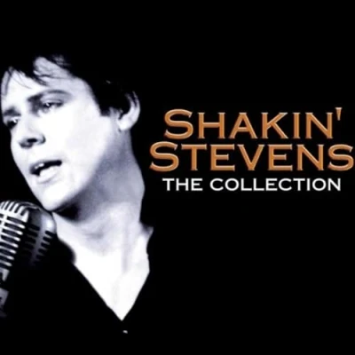 Bild av Stevens Shakin Shakin&#039; The Collection (CD)
