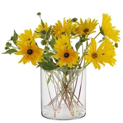 Bild av TREND FOR HOME glascylinder H: 15 cm blomkruka, glas, cylinderform, glasvas, rund, dekorativt glas för ljus, transparent vas, rund tulpaner, ljus ⌀ 2350 ml Calen