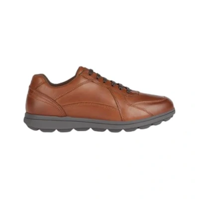 Bild av Geox Herr U SPHERICA EC12 sneakers, konjak, 40 EU, EU