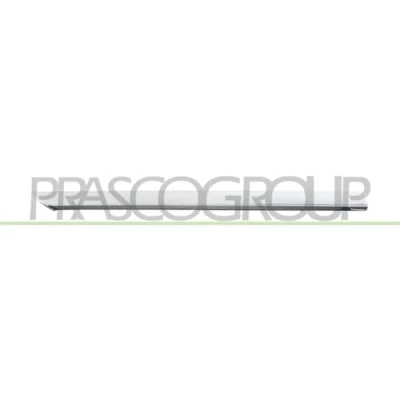 Bild av PRASCO RN3321463 Dörrlister RENAULT: Clio V Hatchback (BF) 1.0 SCe 65, 1.5 Blue dCi 85, 75, 115, LPG, 1.6 E TECH 140