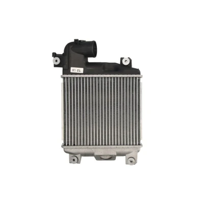 Bild av Laddluftkylare THERMOTEC DA2004TT
