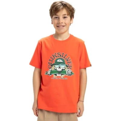 Bild av Quiksilver pojke Ev Skull Feast Ss Yth t shirt (förpackning med 1)