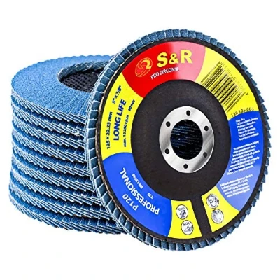 Bild av S&amp;R Flikskivor set 10 st, 125 x 22,23 mm, professionell kvalitet, Fläktslipskivor, T29, lamellrondellsats för stål, rostfritt kornstorlek P120