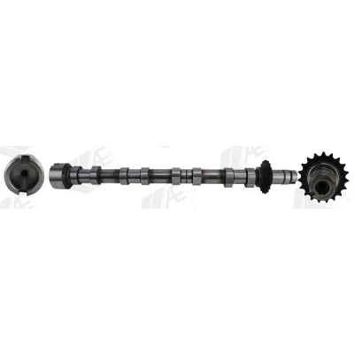 Bild av AE CAM1031 Arbre à Cames Côté d&#039;échappement PEUGEOT: 5008 I, 3008 308 SW 2, CITROËN: Jumper II Van, C5 3, Jumpy III FORD: KUGA FOCUS 3