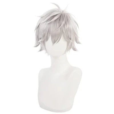 Bild av HIROAKIYA Kaworu Nagisa Wig, Cosplay Wig with Cap