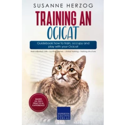 Bild av training an Ocicat Guidebook how to train, occupy and play with your Ocicat: Well adjusted cats hunting games clicker structure