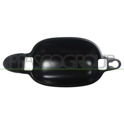 Bild av PRASCO BM0468203 Poignée De Porte extérieur, arrière droite, avant droite avec couche d&#039;apprêt BMW: 5 Berline, Touring