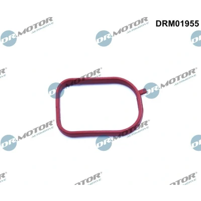 Bild av DR.MOTOR AUTOMOTIVE DRM01955 Joint d&#039;étanchéité, boîtier du thermostat FORD: FIESTA 5, Focus 2, C Max