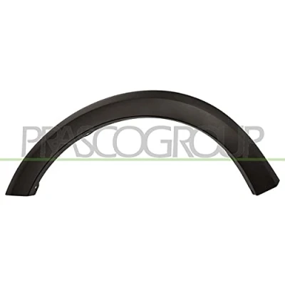 Bild av PRASCO DA2261582 Baguette et bande protectrice, aile avant gauche DACIA: SANDERO 2
