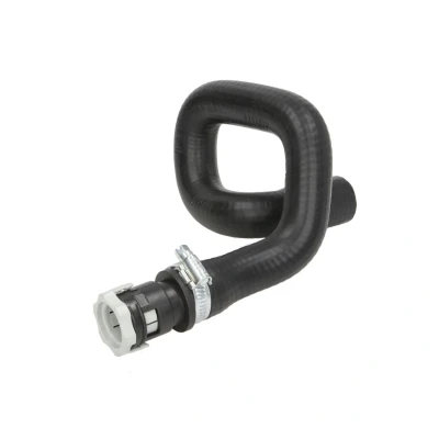 Bild av Insug, luftfilter Thermotec DCG107TT