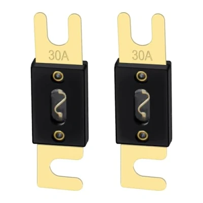 Bild av Heschen ANL Fuse 30 Amp för bilfordon ljudsystemblad guldton och svart 2 pack