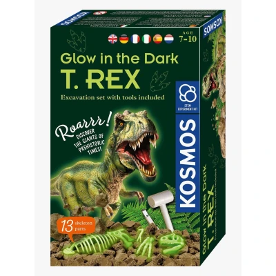 Bild av Kosmos Självlysande T Rex Utgrävningskit