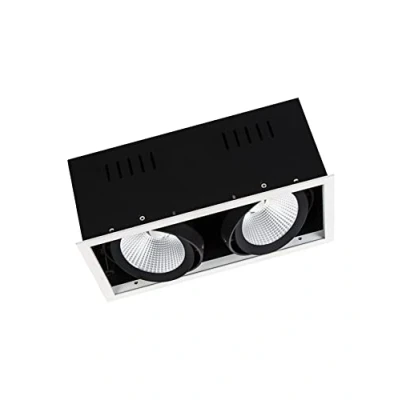Bild av LEDVANCE Spot Multi Spotlight 2x30 W, 38 4000K
