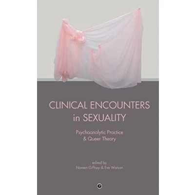 Bild av Clinical Encounters in Sexuality: Psychoanalytic Practice and Queer Theory