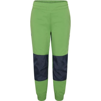 Bild av Didriksons Flox Överdragsbyxor, Algae Green, 100