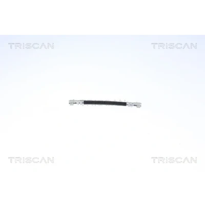 Bild av TRISCAN 8150 25210 Flexible De Frein F10x1 RENAULT: CLIO 2, TWINGO 2 Kasten