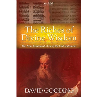 Bild av the Riches of Divine Wisdom: New Testament&#039;s Use Old Testament