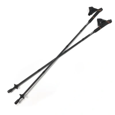 Bild av Silva Running Poles Carbon 110Cm