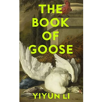 Bild av the Book of Goose: gripping new novel from prize winning author Where Reasons End