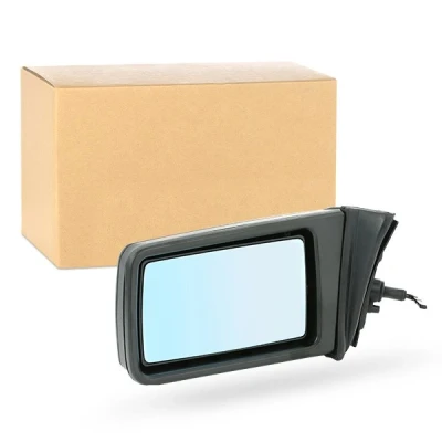 Bild av Rétroviseur extérieur Van Wezel 3024803 gauche teinté en bleu, Rétroviseurs complets, convexe, ajustable de l&#039;intérieur, Ajustage par tiges oscaro,