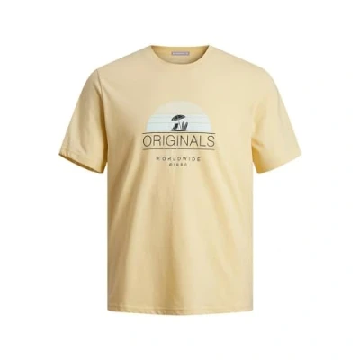 Bild av JACK &amp; JONES Jorcasey Tee Ss Crew Neck T shirt, Italiensk halm, S