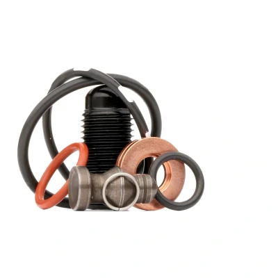 Bild av REINZ 15 38642 03 Kit de réparation, unité pompe injecteur avec vis SEAT: Ibiza 3, AUDI: A4 B7 Berline, VOLKSWAGEN: Golf 4