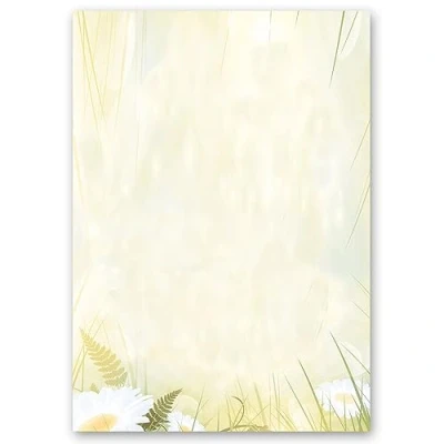 Bild av Motivpapper brevpapper MARGERITEN 20 ark DIN A4 90 g/m²