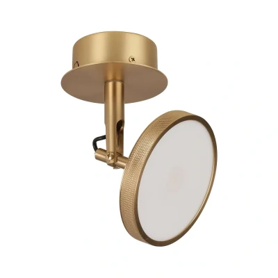 Bild av UMAGE LED spotlight Asteria Spot, Ø 12 cm, mässingspläterad